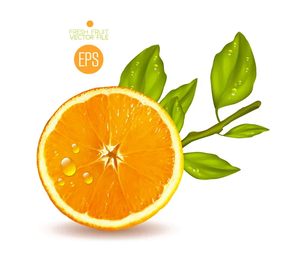 Naranja en rodajas con hojas verdes — Vector de stock