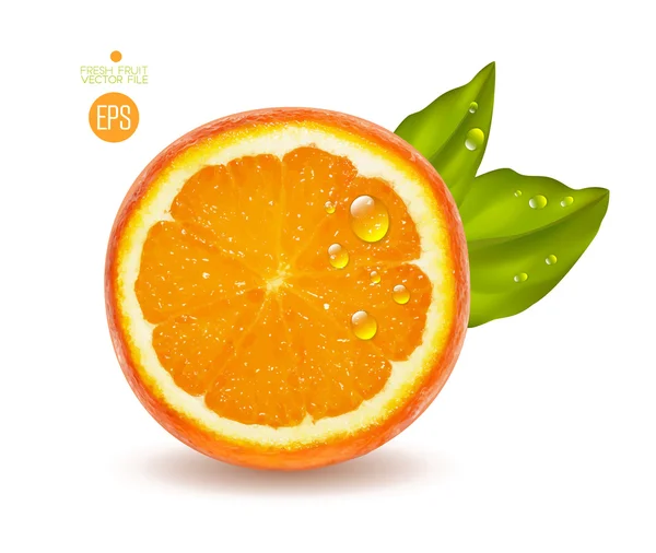 Naranja en rodajas con hojas verdes — Vector de stock