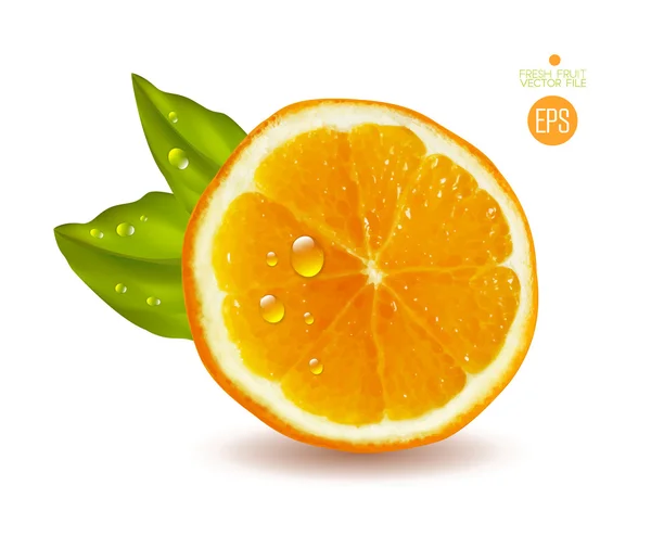 Naranja en rodajas con hojas verdes — Vector de stock