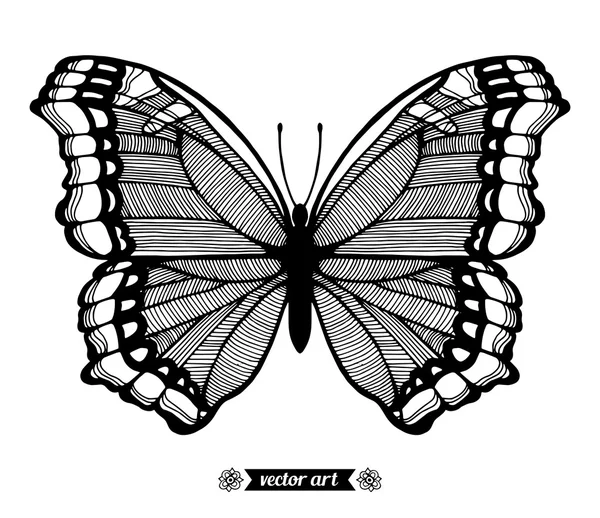 Szerkezeti fekete-fehér pillangó — Stock Vector