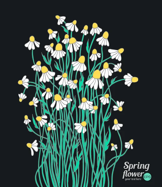 Bouquet de fleurs de forêt sauvage camomilles — Image vectorielle