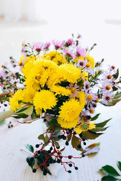 Жовті квіти хризантеми — стокове фото