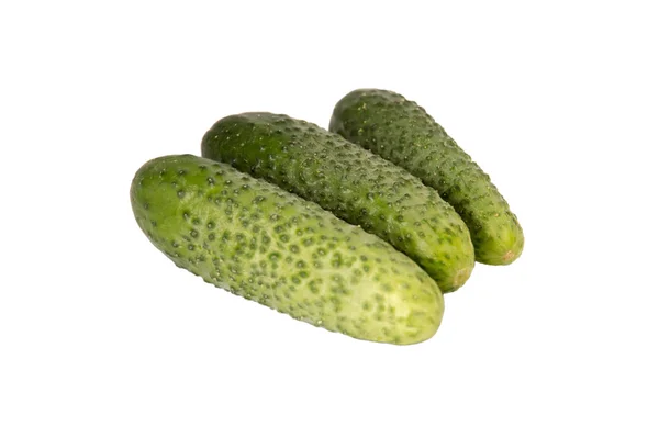 Cucumber and slices isolated — Stock Photo, Image