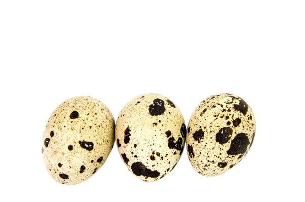 Яйца перепела — стоковое фото