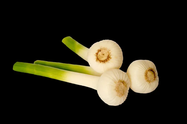 Aglio giovane isolato — Foto Stock