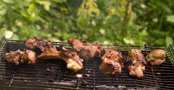 屋外グリルで焼いた自家製ケバブ — ストック写真