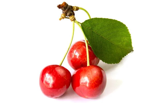 Fruta vermelha cereja — Fotografia de Stock