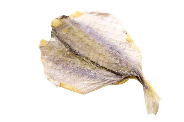 흰 배경에 고립되어 있는 마른 물고기 — 스톡 사진