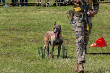 Askeri köpek ve askeri köpek eğitmeni, köpek takımı.