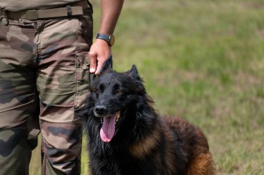 Askeri köpek ve askeri köpek eğitmeni, köpek takımı.