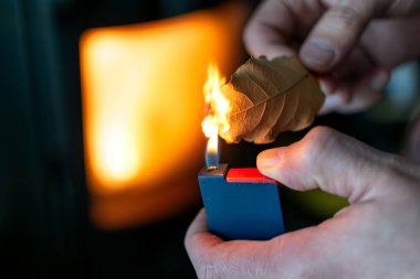 Huzur getirmek, endişeleri azaltmak, baş ağrısını ve yorgunluğu azaltmak ve evi arındırmak için defne yaprakları yakan kişi, laurus nobilis
