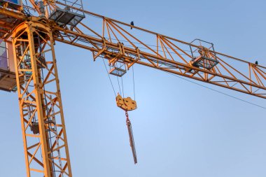 İnşaat alanında turna.