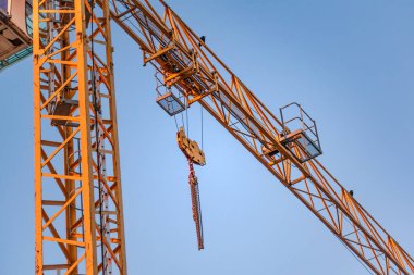 İnşaat alanında turna.