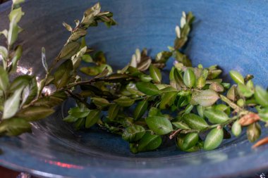 İllüstrasyon için dini unsur Hıristiyan kilisesi, katolik, maneviyat, kavram