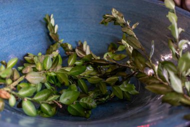 İllüstrasyon için dini unsur Hıristiyan kilisesi, katolik, maneviyat, kavram