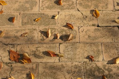 woodpile kış için