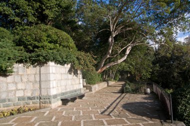 Nikita Botanik Bahçesi, Yalta, Crimea