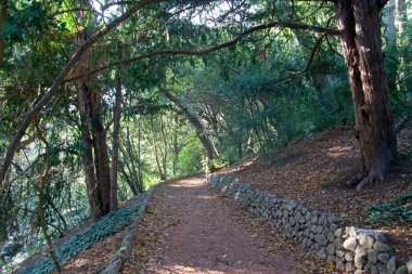Nikita Botanik Bahçesi, Yalta, Crimea
