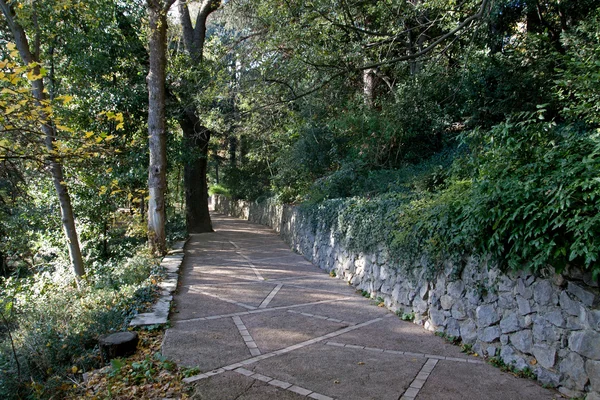 Jardín Botánico Nikita, Yalta, Crimea —  Fotos de Stock