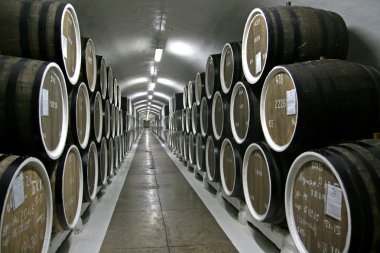 Şarap fabrikası, şarap deposu, Galeri varil şarap yaşlanma