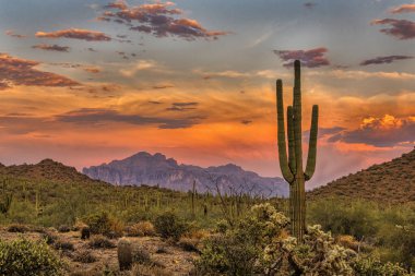 Phoenix, Arizona yakınlarındaki Sonoran Çölü 'nde günbatımı