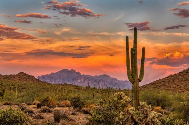 Sunset in the Sonoran Desert near Phoenix, Arizona clipart