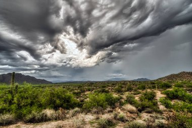 Phoenix, Arizona yakınlarındaki Sonoran Çölü manzarası..