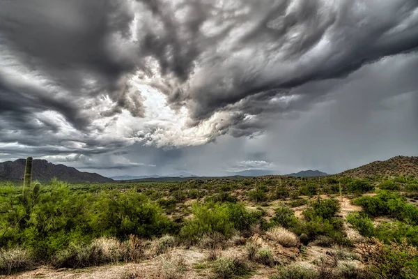 Une Vue Sur Désert Sonoran Près Phoenix Arizona — Photo