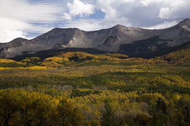 Tepeli Butte Colorado Kebler Pass RD yakınındaki sonbahar yaprak.