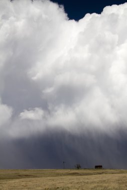 Issız Doğu Colorado Prarie