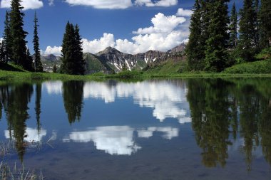 Cennet bölmek Reflectiion