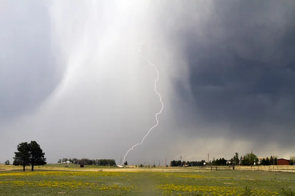 Éclaircissement sur le Colorado Prarie — Photo