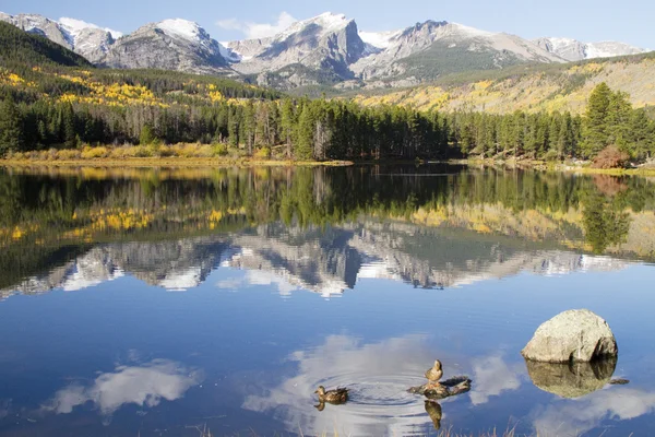 Mt. Hallet weerspiegelen in Sprague Lake bij Rocky Mountain National — Stockfoto