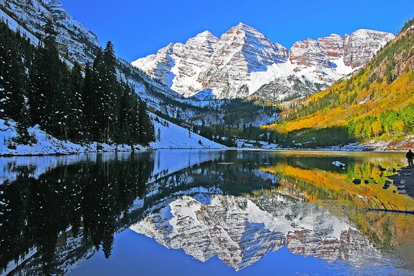 Kestane rengi çan bir Colorado sonbahar