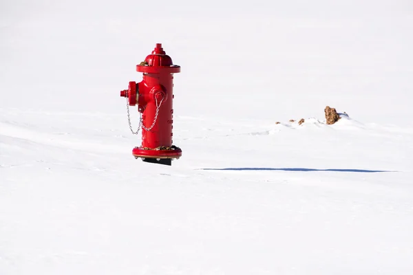 Fire Hydrant in the Smow