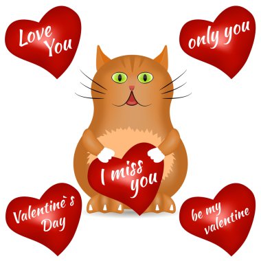 Kırmızı kalpli kırmızı kedi