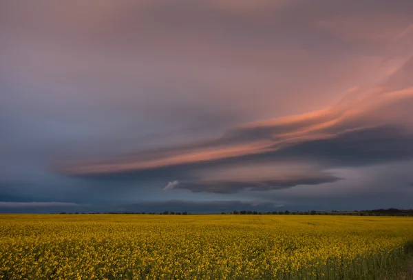 Incríveis nuvens coloridas — Fotografia de Stock