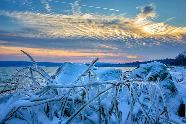 Paesaggio Invernale Alba Tramonto Radici Alberi Ghiacciati — Foto Stock