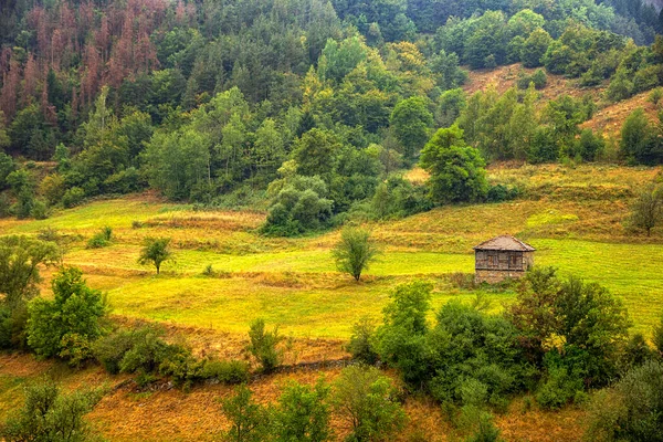 Sám Starý Dřevěný Dům Kopci Horách — Stock fotografie