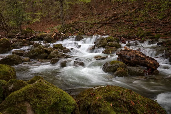Schöne Langzeitbelichtung Blick Auf Fließendes Wasser Fluss Mit Felsen Wald — Stockfoto