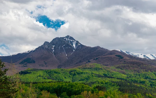 Барвистий Пейзаж Навесні Великого Гірського Піку Зеленого Лісу — стокове фото