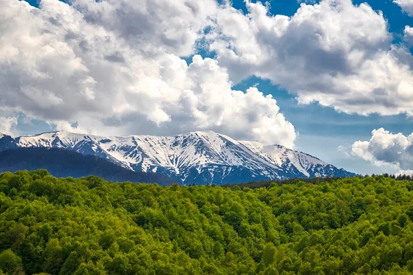 春天的风景 雪山覆盖 绿林茂密 — 图库照片