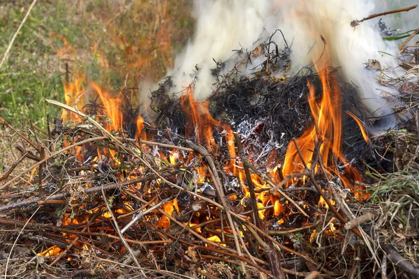 Fuoco Nel Giardino Erbacce Rami Stanno Bruciando Dopo Raccolto Manutenzione — Foto Stock