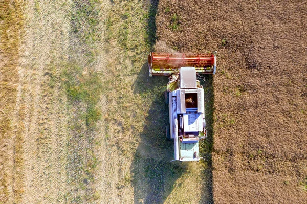 Luftaufnahme Des Erntefeldes Mit Mähdrescher Weizen Ernte Auf Den Feldern — Stockfoto