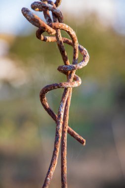 two strands of rusty metal wire twisted together in an helical knot
