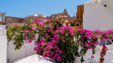 Santorini Adası. Yunanistan.
