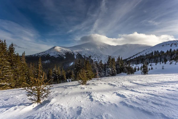 Zimowy dzień w górach. Widok na dolinę. Karpackie niebo. — Zdjęcie stockowe