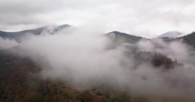 Karpat dağlarında sisli bir gün.