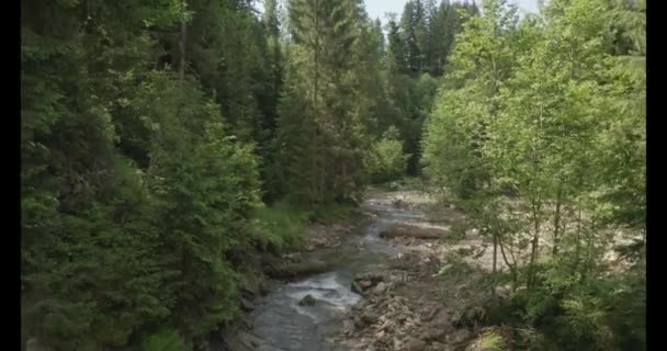 Vista Del Río Cárpatos Desde Dron — Vídeos de Stock