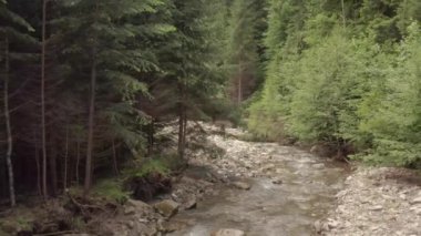 İnsansız hava aracından Carpathian nehrine bakın..